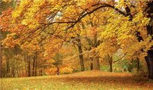 2020搞笑句子越短越好