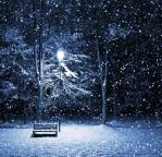 女人最后要看到的是她们对自己所爱和依靠的男人感到失望的那一天