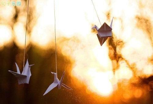 您所做的一切努力都不会立即给您想要的一切