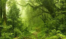 搞笑句子能笑死人的越简短越好