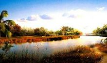 关于风景的优美句子