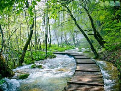 而在暴风雨中幸存的一切都在于未来
