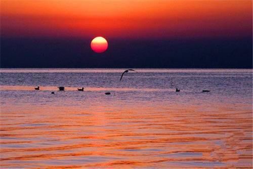 让我们看一下小编在提醒自己开心时所用的句子