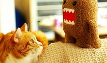 奇葩搞笑句子笑死人