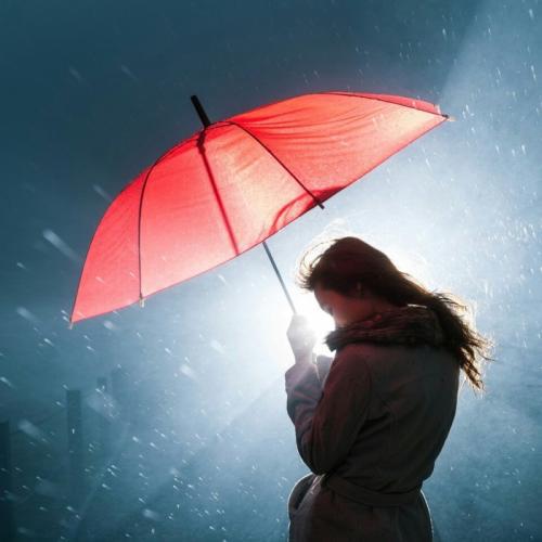 请享受由编辑组织的关于友谊的令人不安的句子