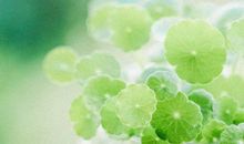 开心的内涵句子说说心情短语