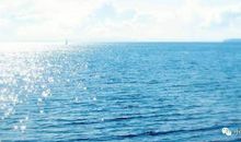 描写大海的优美语句