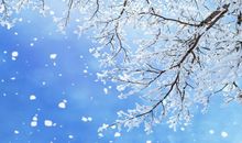 夜晚下雪心烦句子