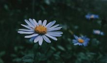 有关对感情失望的句子