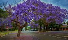 我对你感到失望的句子