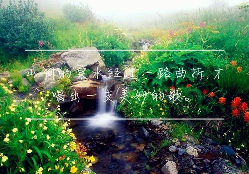 有时候我们确实需要一些灵魂鸡肉汤来治愈自己的灵魂