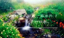 一段有道理的心灵鸡汤的感悟