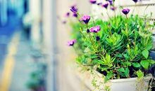 美颜太强大了发表说说 感叹美颜的强大的说说