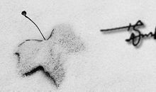 女人爱自己的个性签名