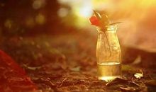 对人品失望的句子