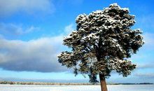 冬至客户问候短信