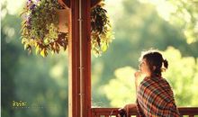 那些温柔到心碎的句子