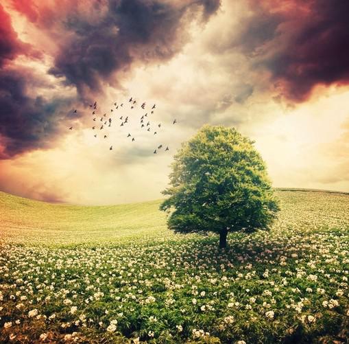 喜欢在听雨的同时展望未来