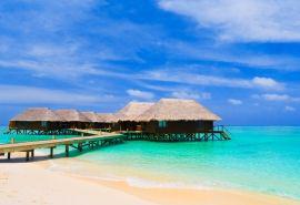 工人的感觉：鼻子