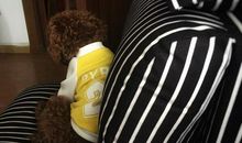 表达对孩子失望的句子