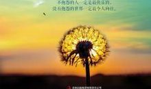 关于抱怨的名言