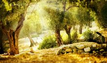 形容自己很压抑很心烦的句子