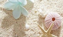 经典语录第二十一期