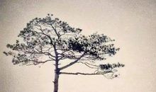 撞南墙心碎的句子