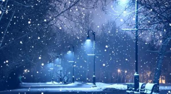 每个人最想得到的是