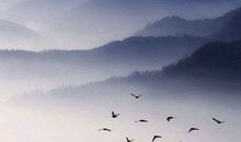 感恩的词语句子大全