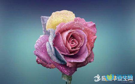 小学阶段是我们一生中学习的“黄金时代”