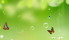 关于赞美春天的语句