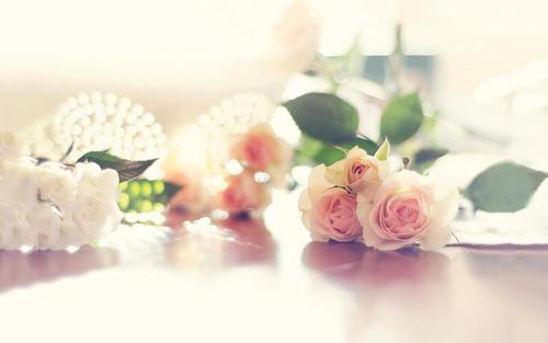 编辑已经整理了一些有关家庭描述的简短句子