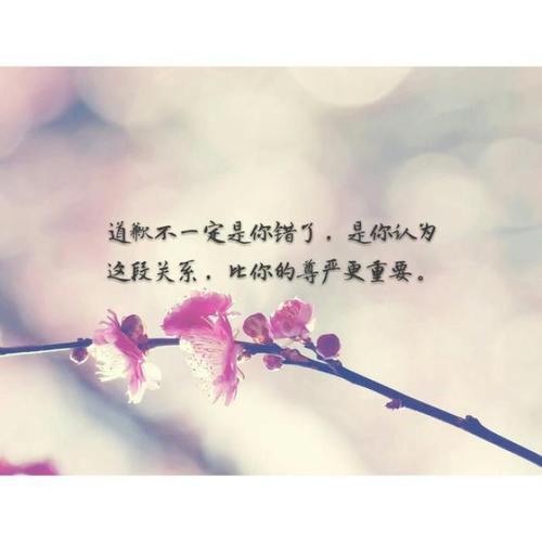 以下是一句断肠的句子