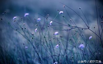 一种道德和一种悲伤的话