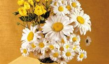 开心的感悟句子