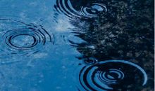 超级爆笑的可爱幽默文爱 笑死人不偿命的搞笑句子