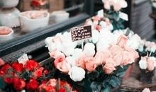 疫情没有收入的说说 只有支出没有收入说说