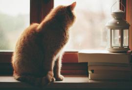 编辑编辑了一些有关劝诫人们珍惜自己的感情的句子