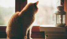 告诫人珍惜亲情的句子