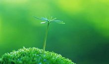 做人处事的座右铭