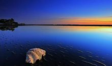 心烦想发泄的句子