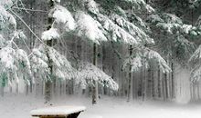 文艺抒情唯美句子