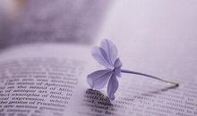 经典一句话个性签名：才华配不上梦想，脾气大于本事