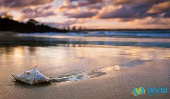 摘自句子1的摘录 1