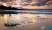 感人的句子摘抄