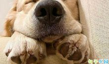 2020情人节幽默说说 情人节说说短语搞笑