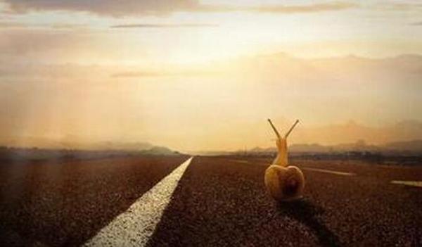 大多数事情不能随便做