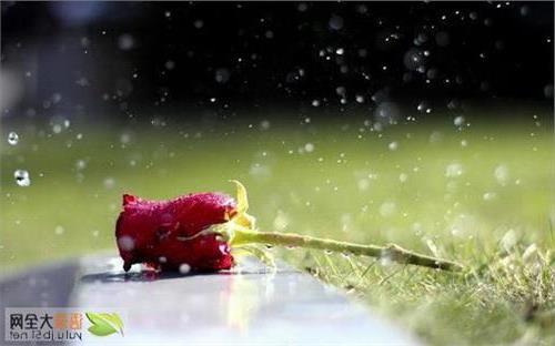 必须有一颗感恩和敬畏的心