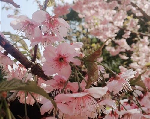 整个世界都很安静